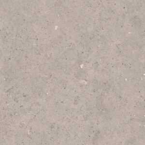 Dlažba Pastorelli Biophilic grey 80x80 cm mat P009419