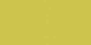 Obklad Rako Color One žlutozelená 20x40 cm mat WAAMB464.1